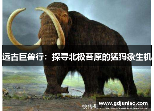 远古巨兽行：探寻北极苔原的猛犸象生机